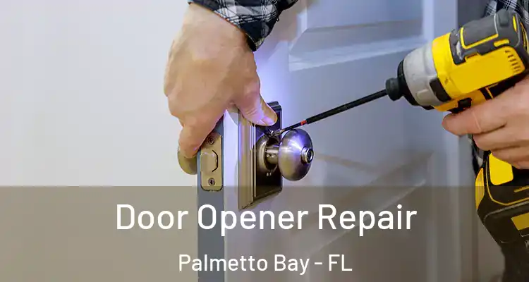  Door Opener Repair Palmetto Bay - FL