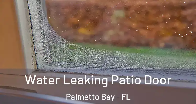  Water Leaking Patio Door Palmetto Bay - FL